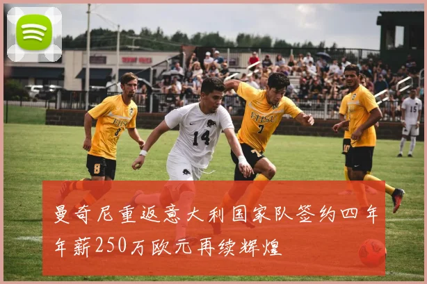 曼奇尼重返意大利国家队签约四年年薪250万欧元再续辉煌
